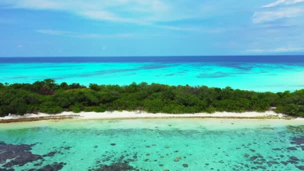 Ζωντανό Τιρκουάζ Νησί Πλούσια Βλάστηση Εξωτικός Χαρακτήρας Της Δομινικανής Δημοκρατίας — Αρχείο Βίντεο