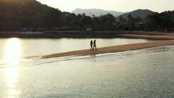 Vista Aérea Duas Jovens Amigas Biquíni Andando Costa Mar Pôr — Vídeo de Stock