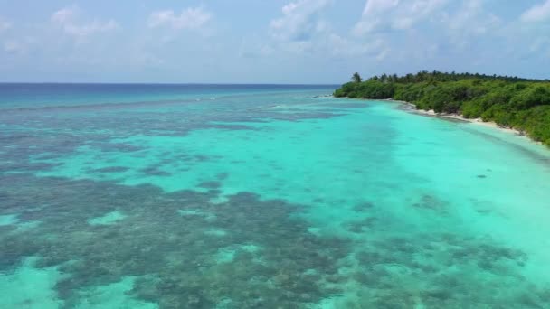 Turquesa Orilla Del Mar Isla Verano Naturaleza Tropical Bali — Vídeo de stock