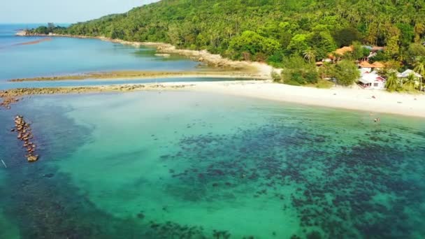 Calma Vista Sul Mare Paesaggio Naturale Antigua — Video Stock