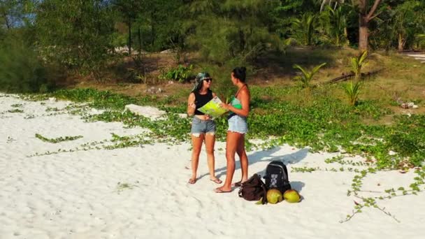Dwie Młode Dziewczyny Stojące Piaszczystym Wybrzeżu Morza Bagażem Obok Nich — Wideo stockowe