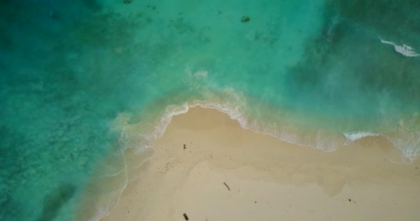 Вид Сверху Волны Идущие Песчаному Пляжу Летние Каникулы Мальдивах — стоковое видео