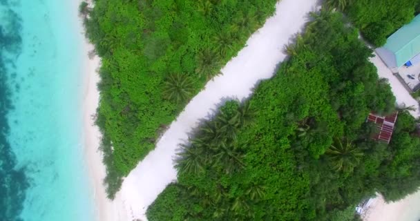 Top View Tropical Island Lush Greenery Summertime Scenery Maldives — Stock Video