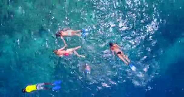 Snorkeling Mergulho Verão Férias Exóticas Ilha Caribe — Vídeo de Stock