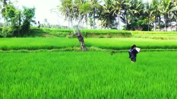 带背包妇女在稻田行走的航拍图 — 图库视频影像