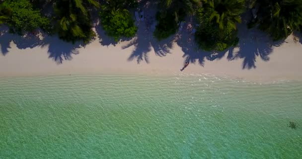 Duidelijk Strand Van Bovenaf Zomertijd Ontspanning Maleisië Azië — Stockvideo