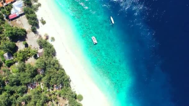 Bright Sunny Seaside Tropical Paradise Bora Bora French Polynesia — Stock Video