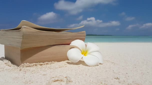 Piękny Kwiat Książki Tle Plaży — Wideo stockowe