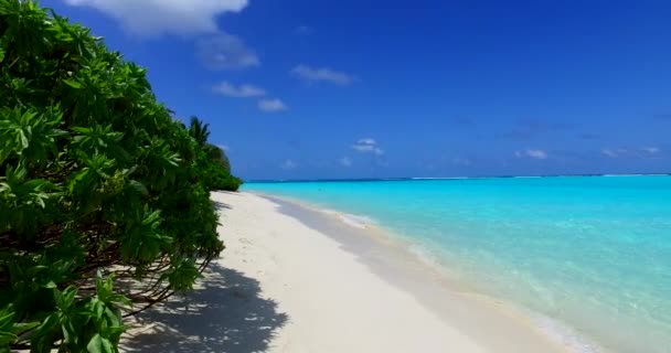 Ilha Bordada Com Mar Azul Turquesa Vibrante Natureza Exótica República — Vídeo de Stock