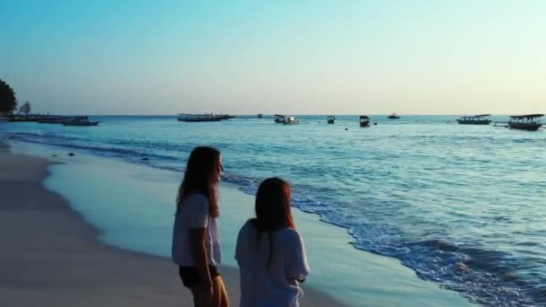 Mooie Jonge Vrouwen Het Tropische Strand — Stockvideo