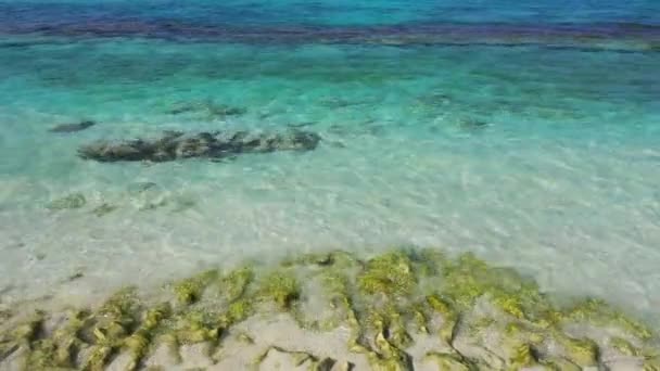 Patrzę Płytką Wodę Tropikalny Raj Bali Indonezja — Wideo stockowe