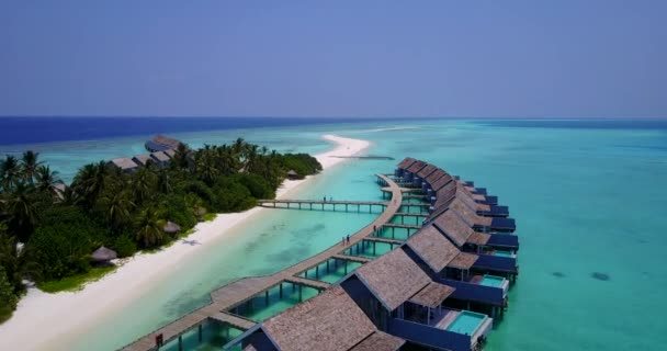 Petits Bâtiments Sur Île Tropicale Nature Bali Indonésie — Video