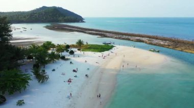 Sıcak ve güneşli bir havada deniz kenarında. Dominik Cumhuriyeti, Karayipler 'in egzotik doğası. 