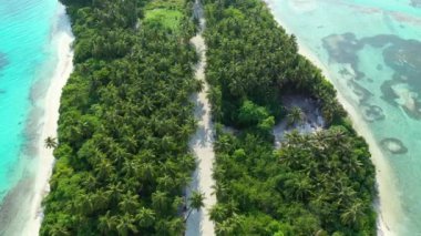 Yeşillik yemyeşil adanın en üst manzarası. Bali 'de deniz manzarası. 