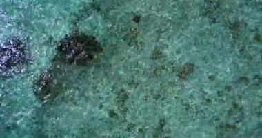 Doğal dalgalı deniz suyu yüzeyi. Bahamalar cennet sahnesi, Karayipler.