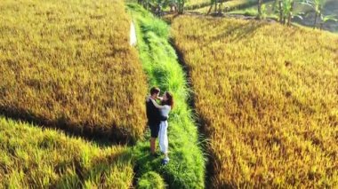 Pirinç tarlalarında sarılan çiftin videosu.
