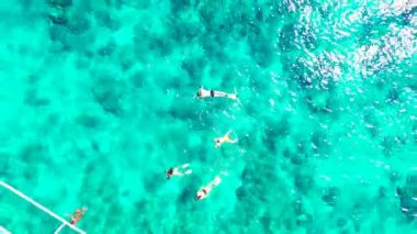 Şeffaf suda yüzen ve şnorkelle yüzen turistler. Endonezya, Bali 'de tropikal tatilin tadını çıkarıyorum..