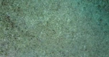 Dalgalanan sığ suyun üst görüntüsü. Maldivlere yaz gezisi 