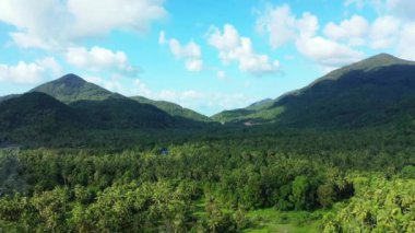 Filipinler 'de palmiye ağaçları olan güzel bir adada hava manzarası