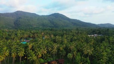 Dağların havadan görünüşü. Barbados, Karayipler 'e egzotik yolculuk. 