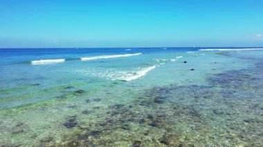 Sahilde sakin bir deniz. Bahamalar cennet sahnesi, Karayipler.