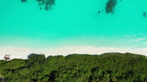 Turquoise Aguas Poco Profundas Con Isla Verde Alrededor Vistas Drone — Vídeo de stock