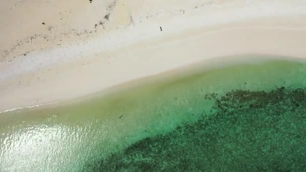 Île Vierge Avec Océan Bleu Luxuriant Sable Doré Bora Bora — Video