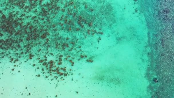 透明的绿松石海水 法属波利尼西亚博拉博拉的热带天堂 — 图库视频影像