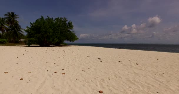 아침에 해변에서요 카리브해의 도미니카 공화국의 성격을 즐기는 — 비디오