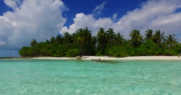 Yeşil Adanın Kıyısında Sığ Jamaika Karayipler Tropik Doğa Manzarası — Stok video