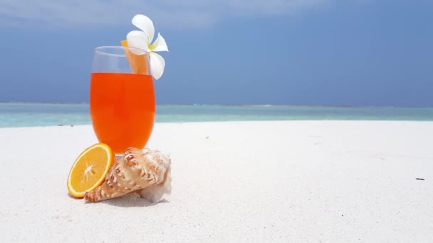 Cóctel Naranja Con Plumeria Flor Concha Mar Costa Viaje Tropical — Vídeos de Stock