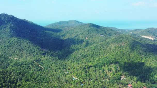 空中俯瞰着覆盖着茂密绿树的群山 巴哈马 加勒比的夏季风景 — 图库视频影像