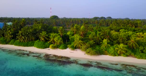 Groene Palmen Het Strand Overdag Zomer Reis Naar Indonesië — Stockvideo