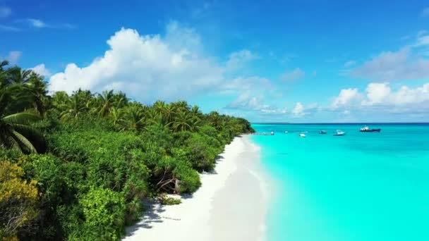 Saftig Turkosa Havsutsikt Bahamas Idyllisk Scen Karibien — Stockvideo