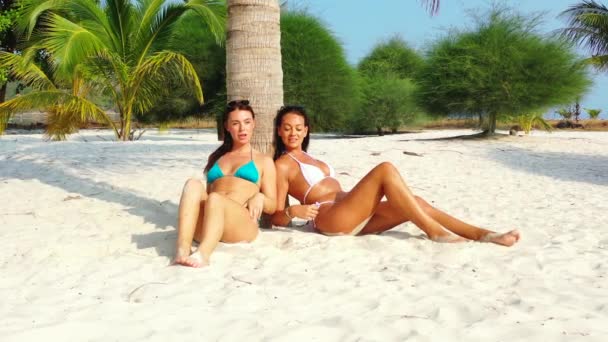 Két Fiatal Barátnő Bikiniben Homokos Tengerparton Pálmafa Alatt Napoznak Beszélgetnek — Stock videók