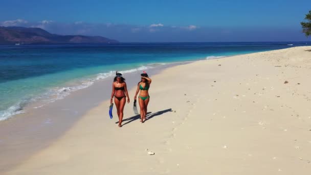 夏のビーチでフリッパー装備の幸せな女性は — ストック動画
