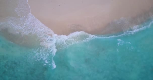 Strahlend Blaue Wasseroberfläche Naturlandschaft Der Seychellen Ostafrika — Stockvideo