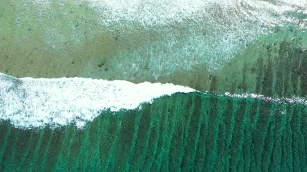 Blick Von Oben Auf Den Boden Durch Transparentes Meer Idyllische — Stockvideo