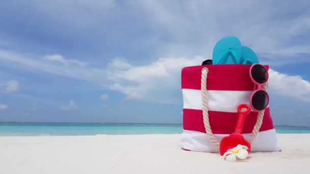 Tourist Bag Flip Flops Sunglasses Frangipani Flower Scoop Summertime Scene — Stock Video