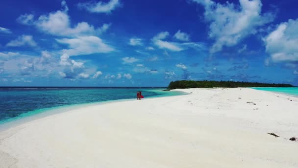 Идиллический Пляж Белым Песком Пальмами Бирюзовой Карибской Морской Водой Острове — стоковое видео