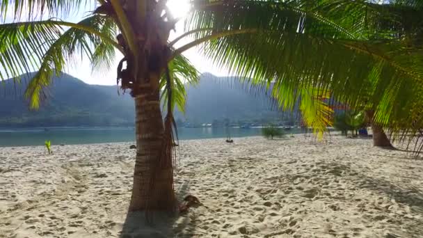 ビーチで緑豊かな ボラのエキゾチックな自然 フランス領ポリネシア — ストック動画