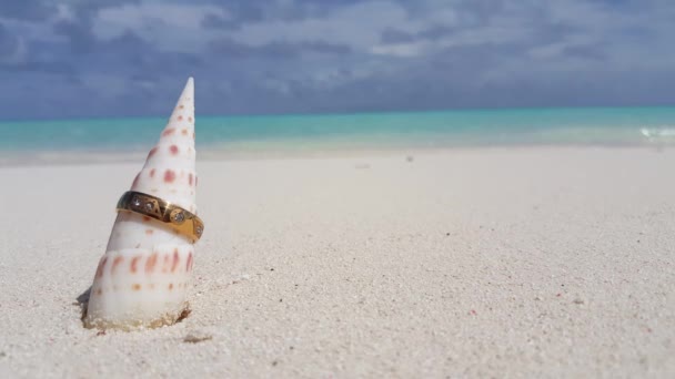 Seashell Con Anello Nuziale Sulla Spiaggia Viaggio Bora Bora Polinesia — Video Stock