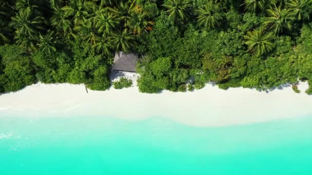 Zona Coastă Turcoaz Magnetic Scena Naturală Din Fiji Oceania — Videoclip de stoc