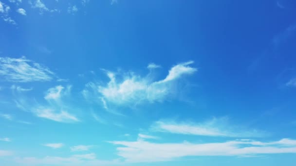 Κοιτάζω Τον Γαλάζιο Ουρανό Τροπική Φύση Σκηνή Της Τζαμάικα Καραϊβική — Αρχείο Βίντεο