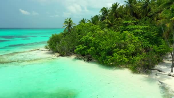 Levendige Zee Groen Eiland Natuurlijke Omgeving Jamaica Caribisch Gebied — Stockvideo