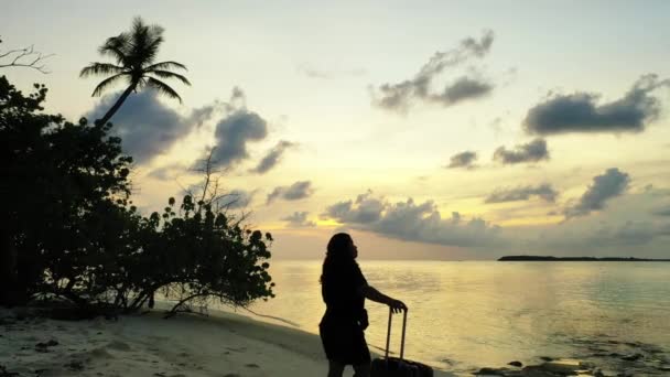 日落时提着行李在海滩上的女人 — 图库视频影像