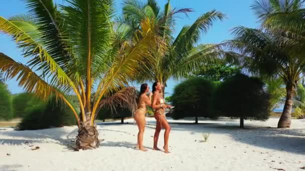 Deux Jeunes Amies Bikini Debout Sur Côte Sablonneuse Sous Palmier — Video