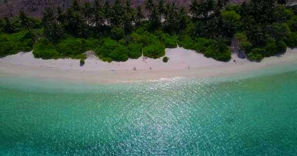 Bora Bora Egzotikus Jellege Francia Polinézia — Stock videók