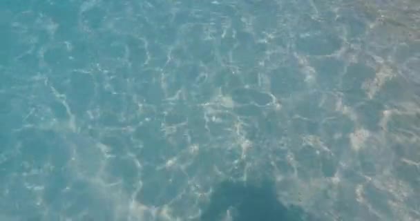 Patrzę Przejrzystą Wodę Podróż Hawajów Usa — Wideo stockowe