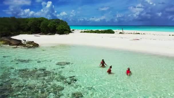 Idilli Trópusi Strand Fehér Homokkal Pálmafákkal Türkiz Karibi Tengervízzel Mayreau — Stock videók